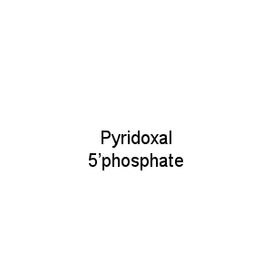 Pyridoxal 5’phosphate